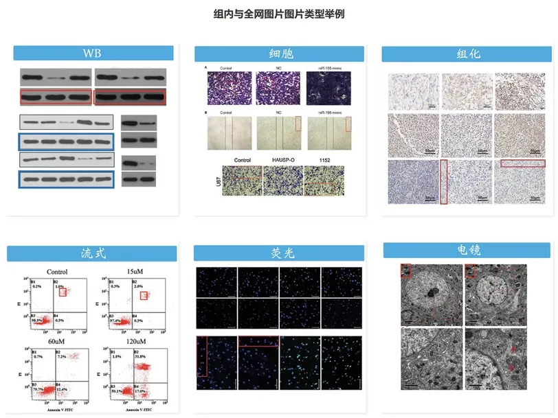 AI图片检测演示