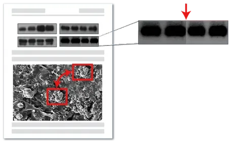 图像操作检测示例